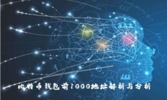 比特币钱包前1000地址解析与分析